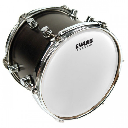 EVANS 10&quot; B10UV1