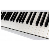 FunKey 61 Edition Touch White