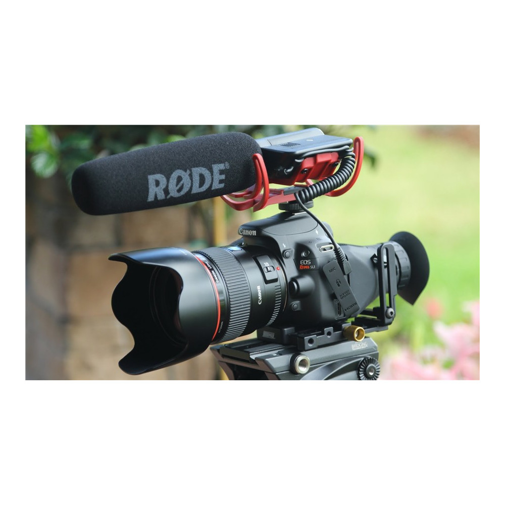 RODE VideoMic Rycote AudioWorks.cz Hudební nástroje