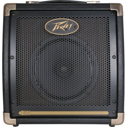 Peavey Ecoustic 20