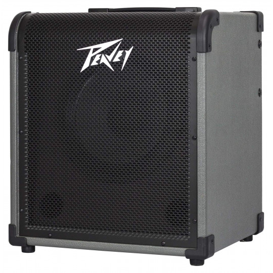 Peavey MAX 100