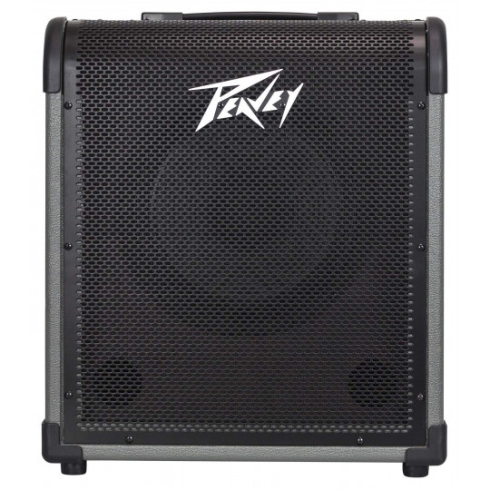 Peavey MAX 100