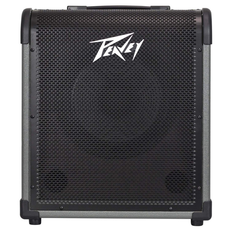 Peavey MAX 100