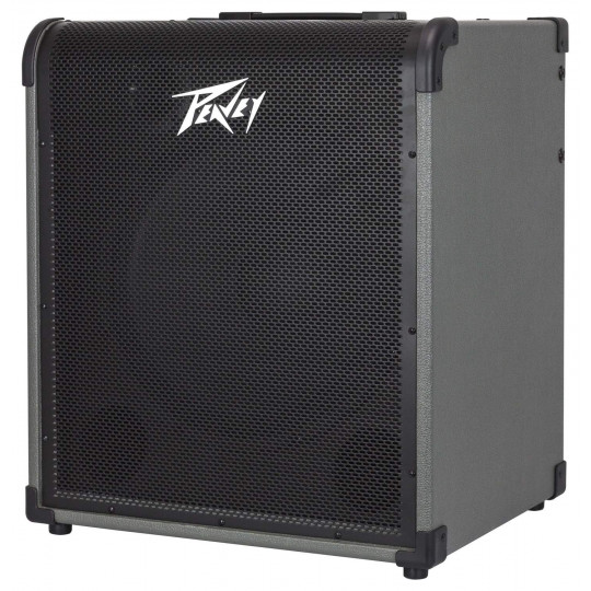 Peavey MAX 250