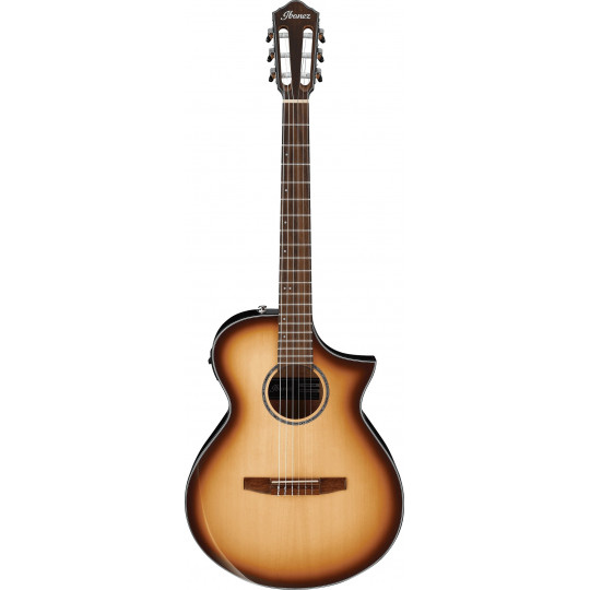 Ibanez AEWC300N-NNB