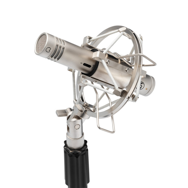 Warm Audio WA-84 Single Nickel Warm Audio WA-84 Single Nickel