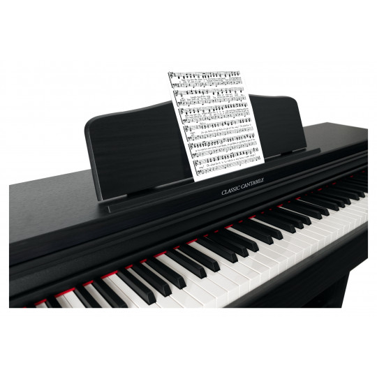 Classic Cantabile DP-230 WM
