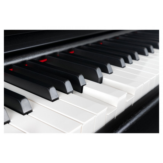 Classic Cantabile DP-230 WM