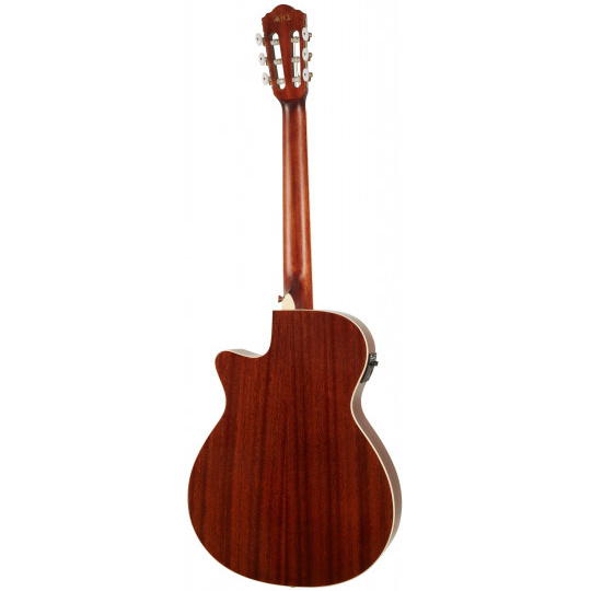 Ibanez AEG7TN-NT