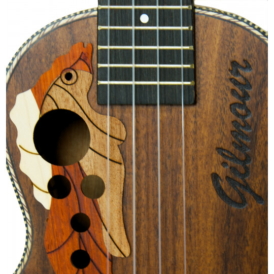 Gilmour Ukulele OVA - concert