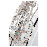 Lechgold LAS-20S alt saxofon postříbřený