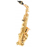 Lechgold LAS-20GL alt saxofon lakovaný