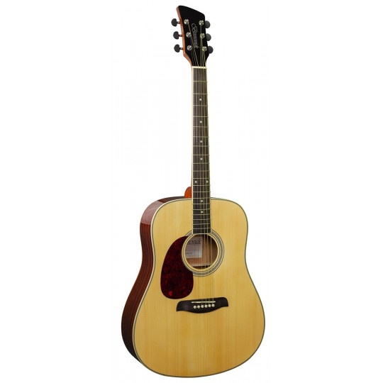 Brunswick Dreadnought BDL200 Natural LH