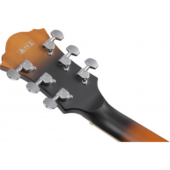 Ibanez AF55L-TF