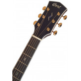 Cort Gold D8 NAT celomasivní akustická kytara