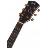 Cort Gold D8 LB celomasivní akustická kytara